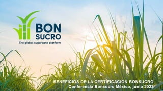 BENEFICIOS DE LA CERTIFICACIÓN BONSUCRO
Conferencia Bonsucro México, junio 2022
 