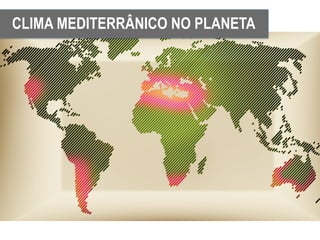 CLIMA MEDITERRÂNICO NO PLANETA
 
