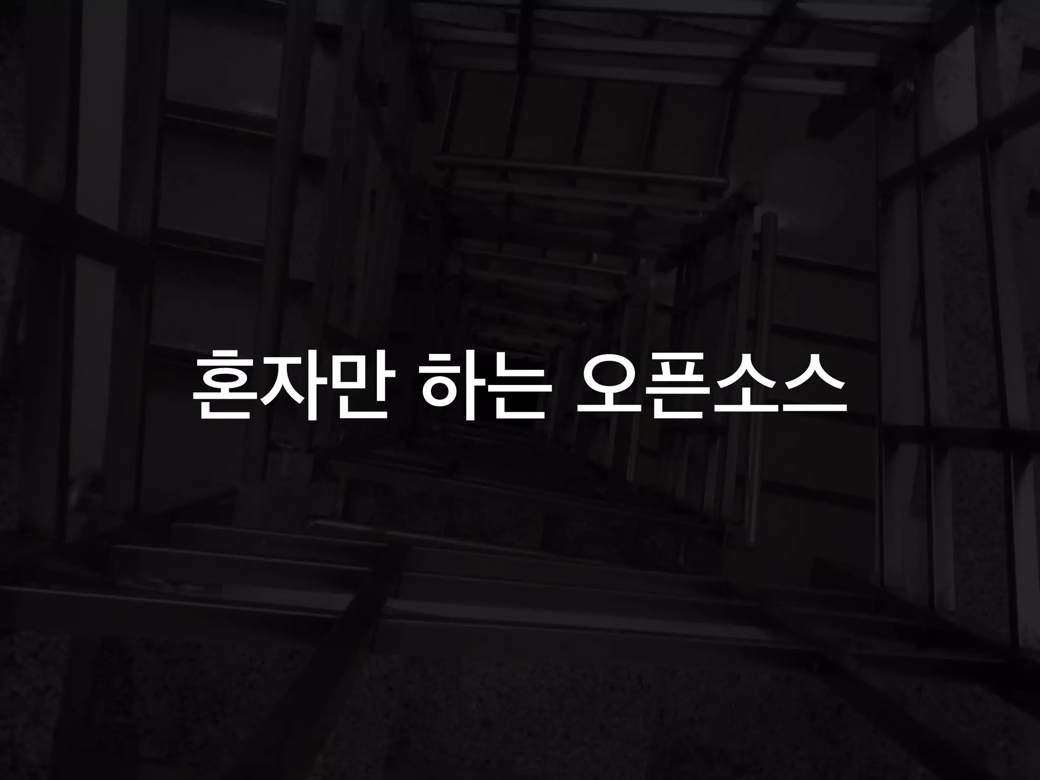 혼자만 하는 오픈소스
 