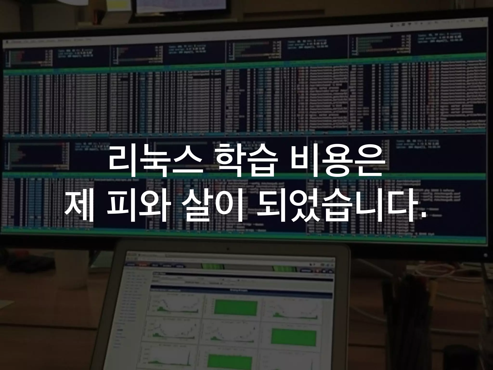 리눅스 학습 비용은
제 피와 살이 되었습니다.
 