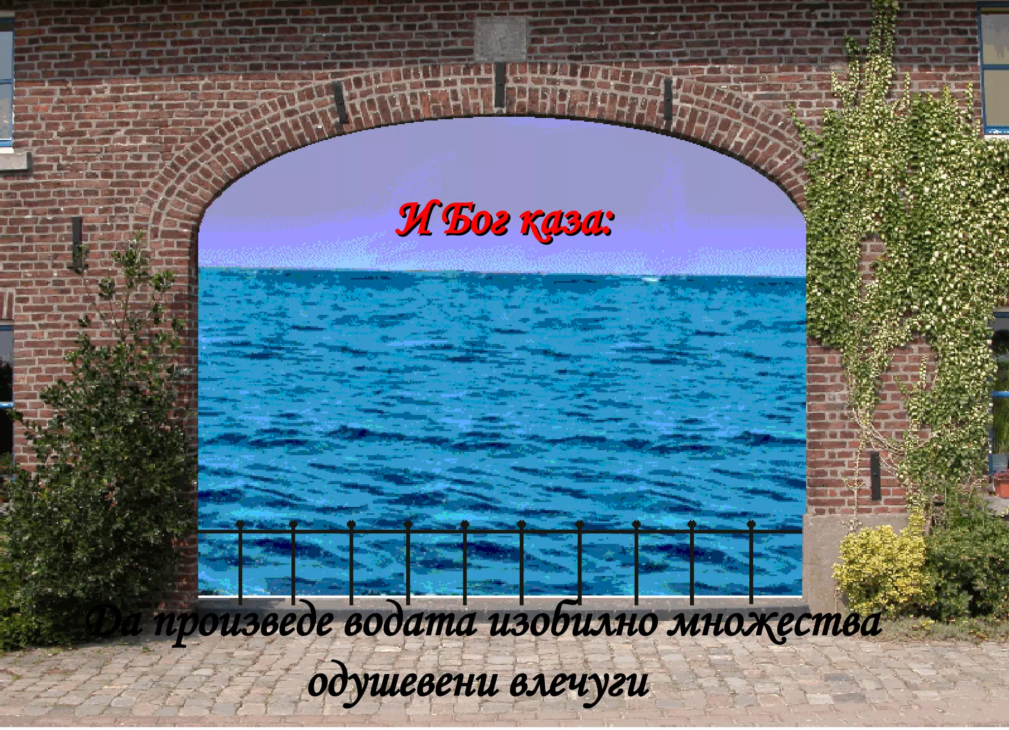 Да произведе водата изобилно множества одушевени влечуги  И Бог каза: 