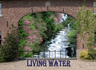 living Water 