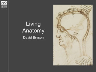 Living
Anatomy
David Bryson
 