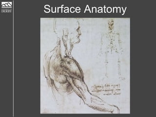 Surface Anatomy
 