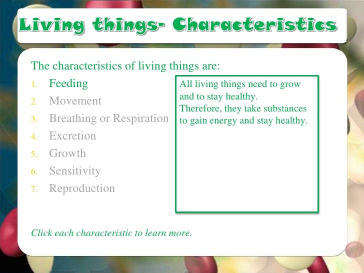 Living And Non Living Things