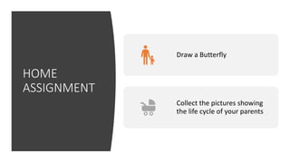 HOME
ASSIGNMENT
Draw a Butterfly
Collect the pictures showing
the life cycle of your parents
 