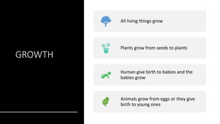 GROWTH
All living things grow
Plants grow from seeds to plants
Human give birth to babies and the
babies grow
Animals grow from eggs or they give
birth to young ones
 