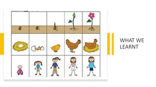 WHAT WE
LEARNT
 