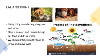 EAT AND DRINK
• Living things need energy to grow
and move
• Plants, animals and human beings
eat food and drink water
• We should intake healthy food to
grow and move well
 