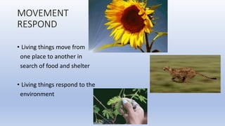 MOVEMENT
RESPOND
• Living things move from
one place to another in
search of food and shelter
• Living things respond to the
environment
 