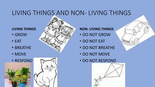 LIVING THINGS AND NON- LIVING THINGS
LIVING THINGS
• GROW
• EAT
• BREATHE
• MOVE
• RESPOND
NON- LIVING THINGS
• DO NOT GROW
• DO NOT EAT
• DO NOT BREATHE
• DO NOT MOVE
• DO NOT RESPOND
 