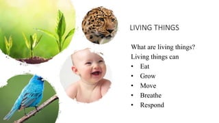 LIVING THINGS
What are living things?
Living things can
• Eat
• Grow
• Move
• Breathe
• Respond
 