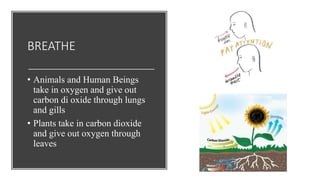 BREATHE
• Animals and Human Beings
take in oxygen and give out
carbon di oxide through lungs
and gills
• Plants take in carbon dioxide
and give out oxygen through
leaves
 
