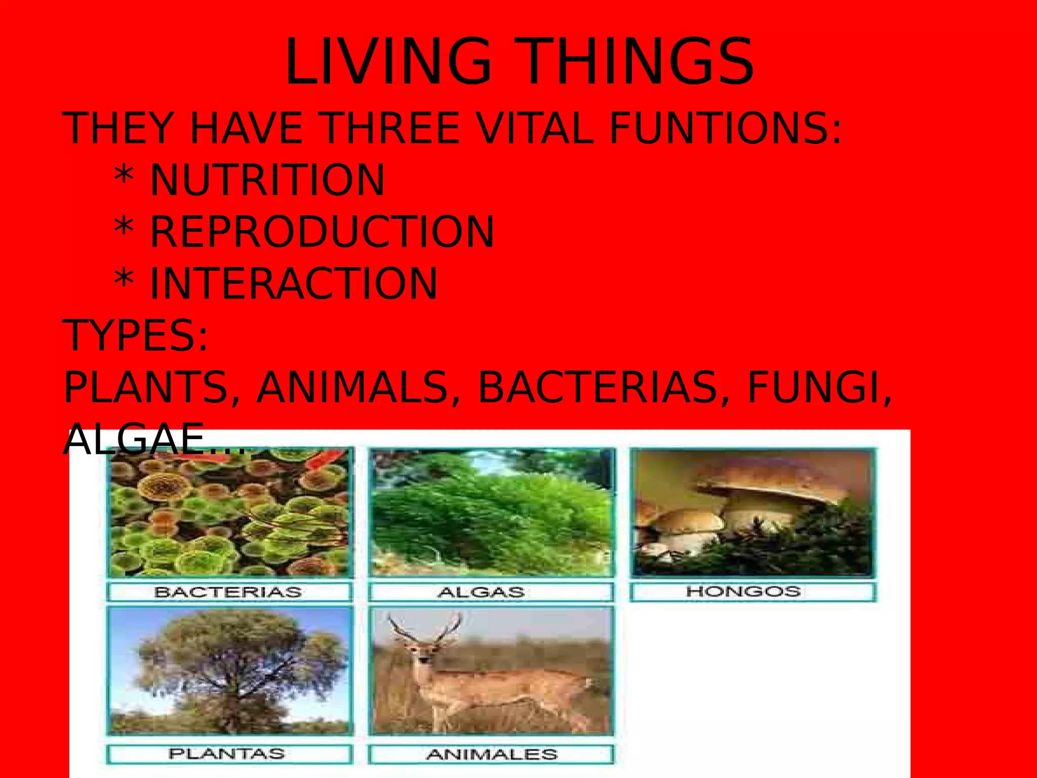LIVING THINGS
THEY HAVE THREE VITAL FUNTIONS:
* NUTRITION
* REPRODUCTION
* INTERACTION
TYPES:
PLANTS, ANIMALS, BACTERIAS, FUNGI,
ALGAE…