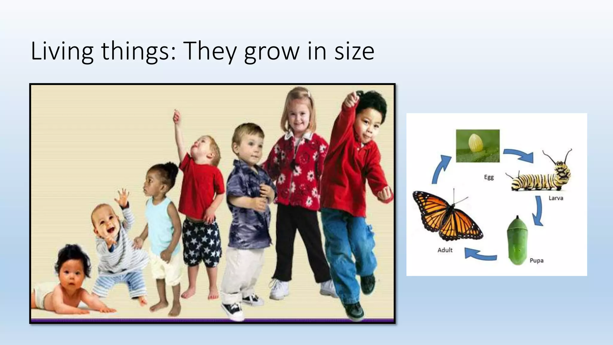 Living things: They grow in size
 