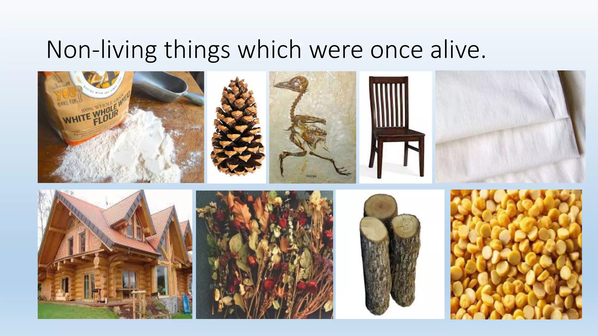 Non-living things which were once alive.
 