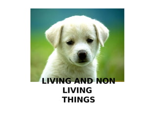 LIVING AND NON
LIVING
THINGS
 
