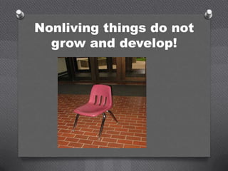 Nonliving things do not
  grow and develop!
 