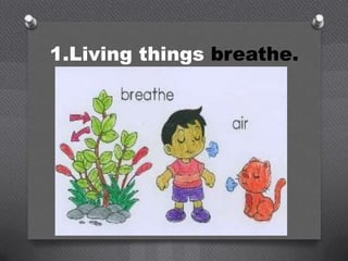 1.Living things breathe.
 