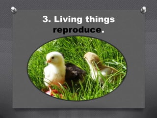 3. Living things
   reproduce.
 
