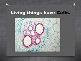 Living things have Cells.
 