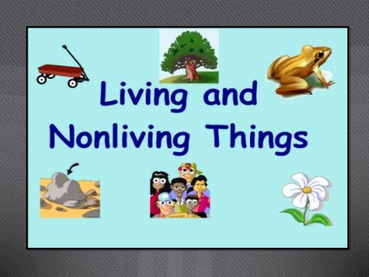 presentation of living and nonliving things