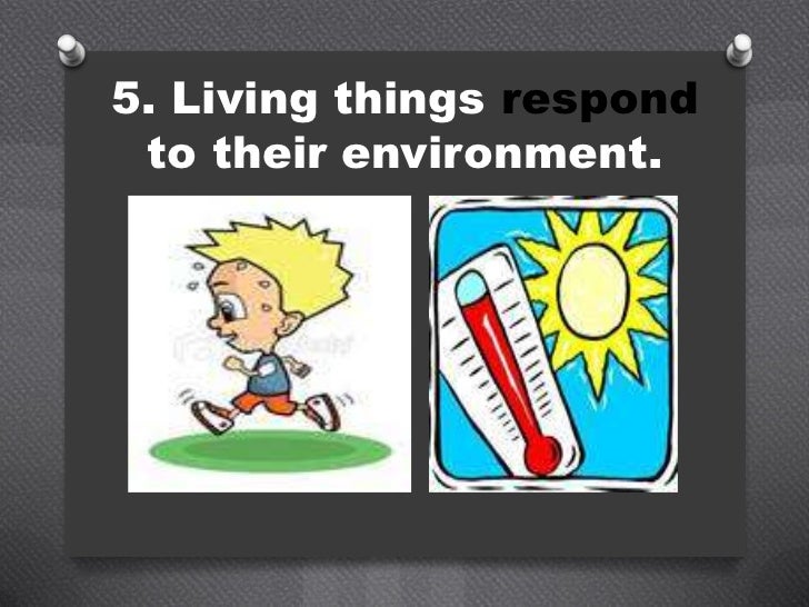 Living and nonliving things powerpoint