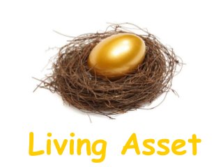 Living Asset
 