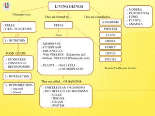 LIVING BEINGS
Characteristics
.- CELLS
.-VITAL FUNCTIONS
FOOD CHAIN:
They are formed by… They are classified in …
KINGDOMS...