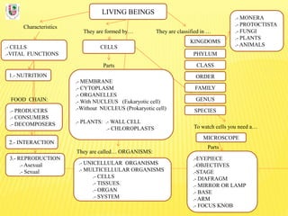 LIVING BEINGS
Characteristics
.- CELLS
.-VITAL FUNCTIONS
FOOD CHAIN:
They are formed by… They are classified in …
KINGDOMS...