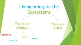Living beings in the
Ecosystems
There are
Animals
There are
plants
Wild
Aquatic
Insects
Domestic
 