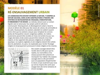 MODÈLE 01
RÉ-ENSAUVAGEMENT URBAIN
LES COMMUNAUTÉS DOIVENT INTÉGRER LA NATURE, Y COMPRIS LA
NATURE SAUVAGE, DANS LEURS CONSTRUCTIONS À TRAVERS UNE
SYNTHÈSE DE RESTAURATION DE L’ÉCOLOGIE, D’ARCHITECTURE,
D’URBANISME ET DE DESIGN. Les individus doivent avoir un contact
régulier avec la nature pour leur propre santé et celle de la
communauté. Historiquement, le développement urbain a laissé la
nature en dehors des villes pour des raisons de culture, de commodité et
de coûts. Heureusement, les solutions abondent et coûtent souvent
moins chers que les solutions conçues pour remplacer les services
perdus de l’écosystème naturel. Longtemps oubliées, les rivières
souterraines peuvent être recréées et mises à la lumière du jour. Les
rivages des baies et des océans peuvent être restaurés à leur état
originel, en leur apportant des poissons indigènes et un habitat
aquatique. Les espèces végétales et sols indigènes doivent être utilisés
dans les plantations, les parcs, les esplanades pour recréer l’écologie
indigène et réciproquement promouvoir le biote indigène et les insectes.
Des couloirs sauvages doivent être
recréés dans la ville pour que les
reptiles, les mammifères et les
oiseaux puissent être présents et
reconquérir leur habitat. Des espaces
sauvages dans la ville permettent
aussi à la population d’expérimenter
la nature, et pas seulement pour ceux
qui ont les moyens d’en sortir pour
voyager dans des terres lointaines et
encore sauvages.
 