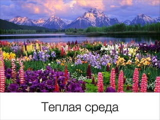 Теплая среда
 