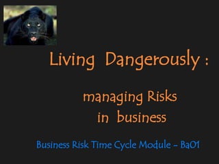       Living  Dangerously : managing Risks           in  business Business Risk Time Cycle Module - Ba01 