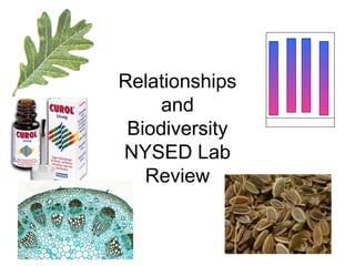 Relationships
and
Biodiversity
NYSED Lab
Review
 