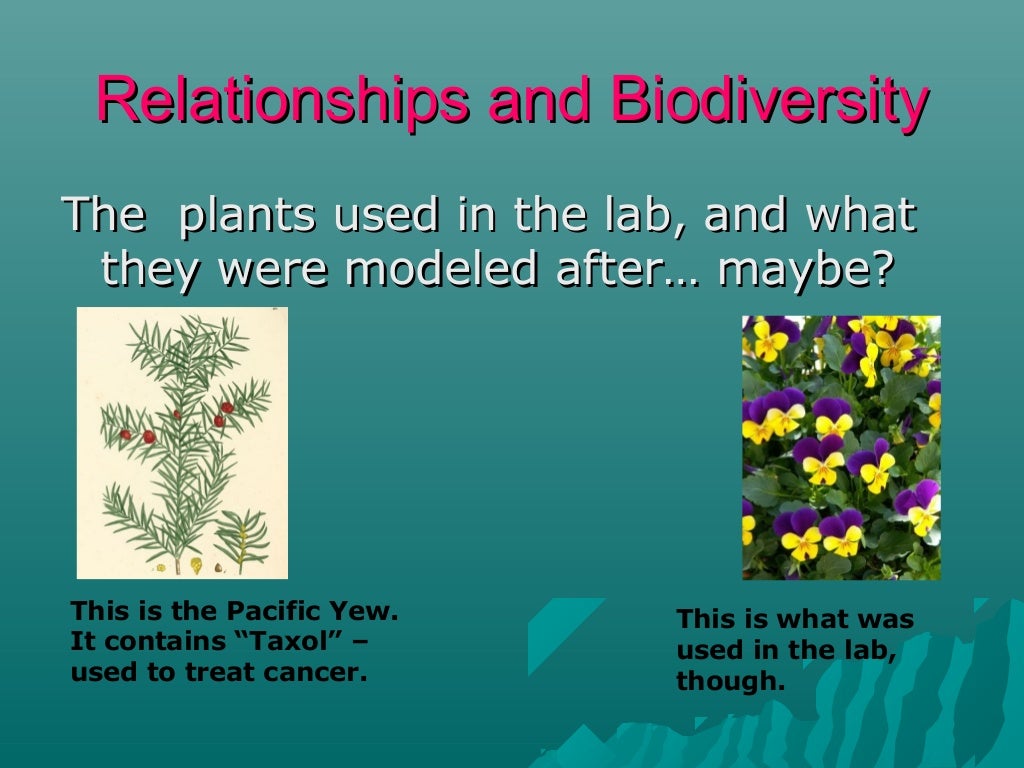 Living Environment Lab Review