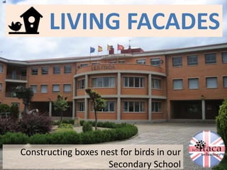 LIVING FACADES
Constructing boxes nest for birds in our
Secondary School
 
