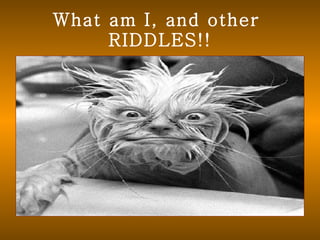 What am I, and other  RIDDLES!! 