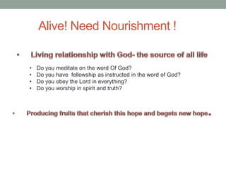 Alive! Need Nourishment !
• Do you meditate on the word Of God?
• Do you have fellowship as instructed in the word of God?
• Do you obey the Lord in everything?
• Do you worship in spirit and truth?
 