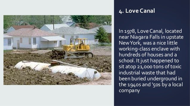 Importance of living in harmony with nature picture