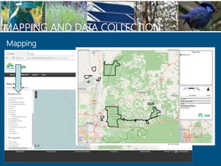 Mapping
MAPPING AND DATA COLLECTION
 