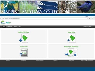 MAPPING AND DATA COLLECTION
 