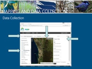Data Collection
MAPPING AND DATA COLLECTION
 