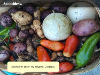 Speechless.
A picture of one of my harvests. Gorgeous.
 