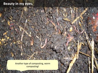 Beauty in my eyes.
Another type of composting, worm
composting!
 