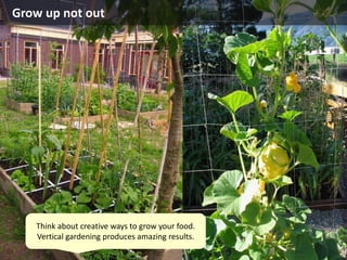 Grow up not out
Think about creative ways to grow your food.
Vertical gardening produces amazing results.
 