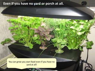 Even if you have no yard or porch at all.
You can grow you own food even if you have no
yard at all!
 