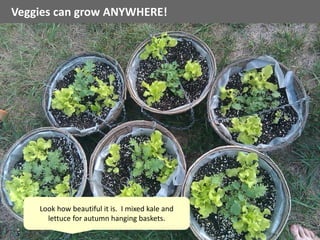 Veggies can grow ANYWHERE!
Look how beautiful it is. I mixed kale and
lettuce for autumn hanging baskets.
 