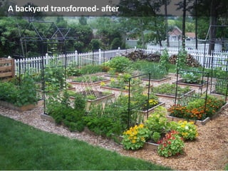 A backyard transformed- after
 