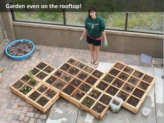 Garden even on the rooftop!
 